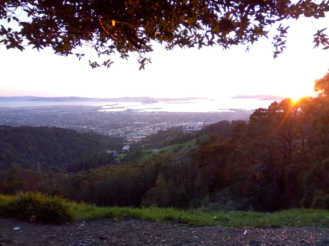 Centennial Drive-伯克利必去景点