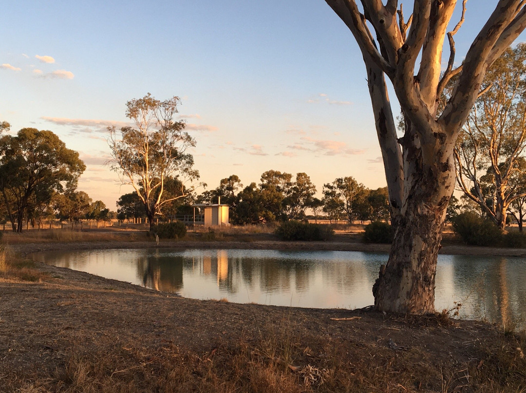 Dandenong Police Paddocks Reserve-Endeavour Hills必去景点
