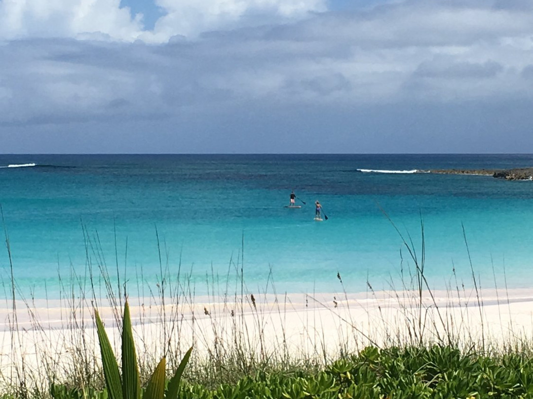 Harbour Water Adventures-Governor's Harbour必去景点