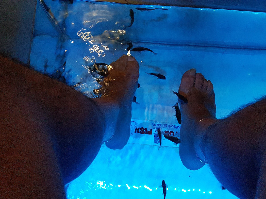 Centro Benessere Marche-杰西必去景点