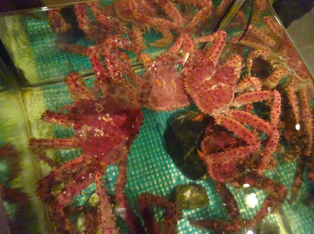 La Cantina Fueguina de Freddy