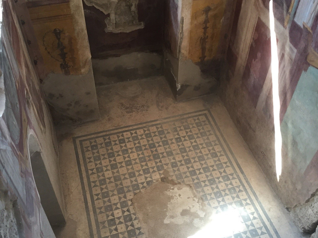 House of the Cryptoporticus-庞贝必去景点