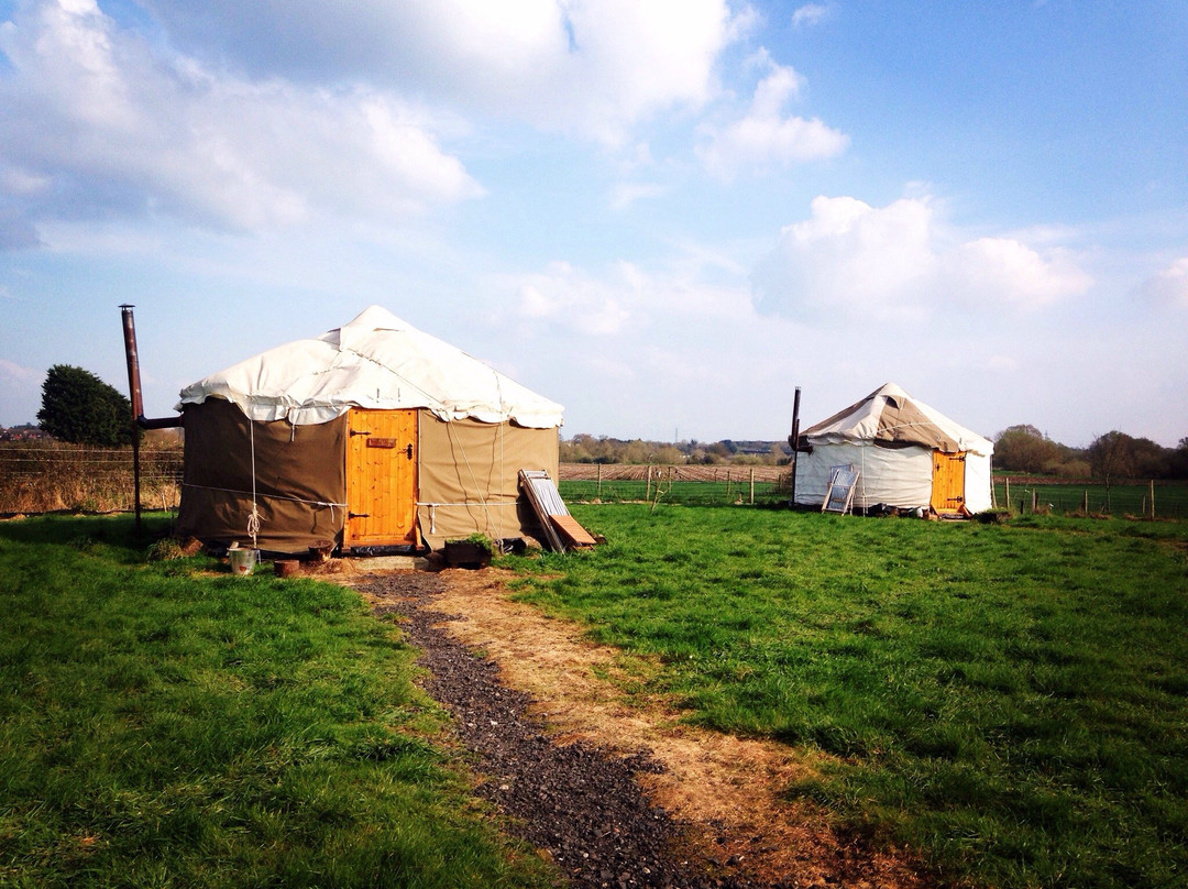 Worcester Glamping