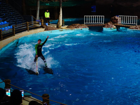 杭州极地海洋世界-杭州市必去景点