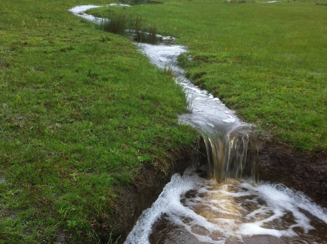 Wimmera Hills Winery-Elmhurst必去景点