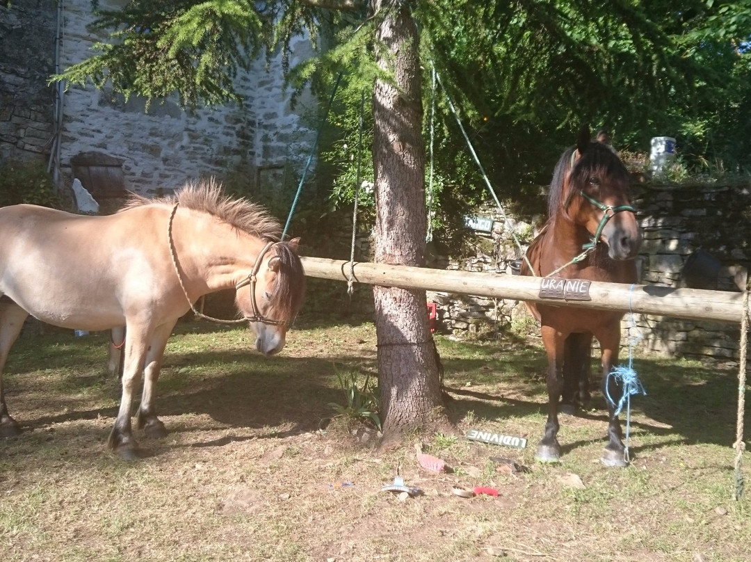 Ferme Equestre chez Valdine景点图片