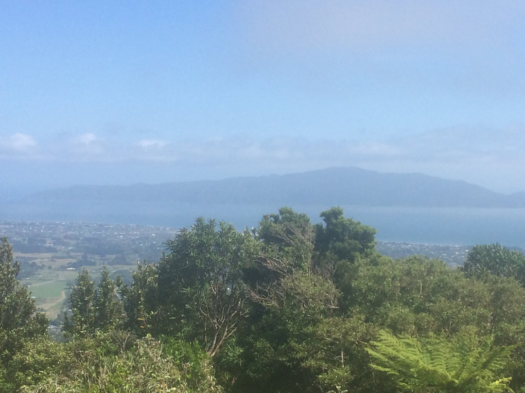 Hemi Matenga Memorial Park Scenic Reserve景点图片