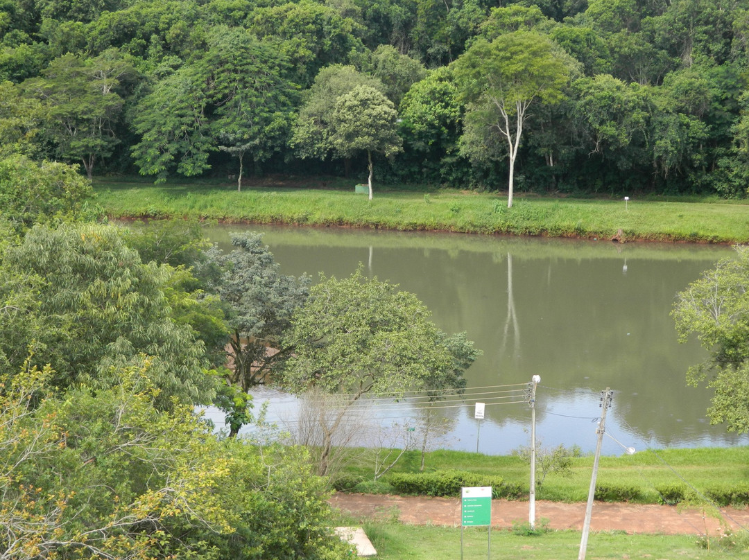 Parque Arthur Thomas-Londrina必去景点