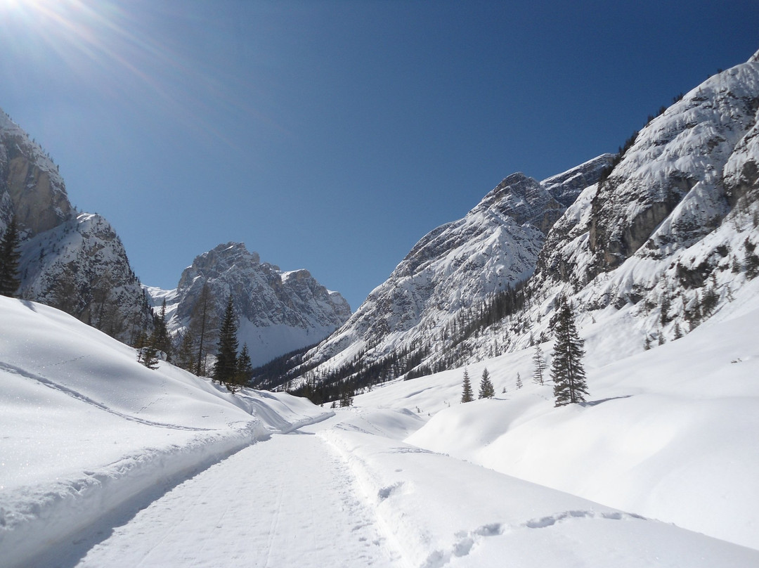 Escursione a Val Campo di Dentro - Rifugio Tre Scarperi景点图片