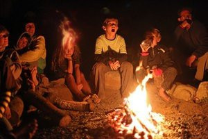 Really Wild Bushcraft景点图片