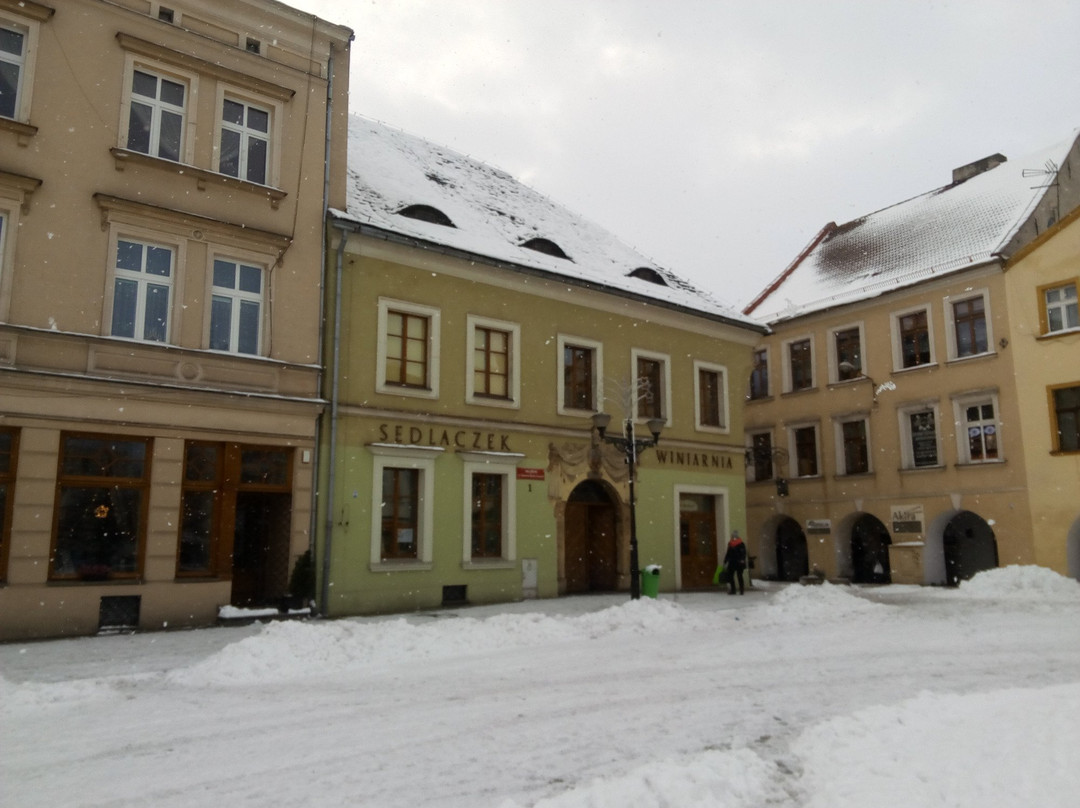 Museum in Tarnowskie Góry景点图片