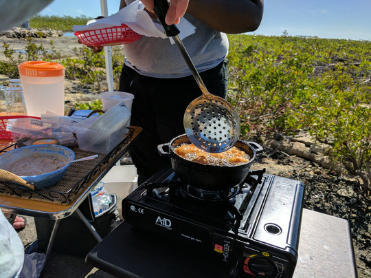 Ultimate Tours Bahamas-拿骚必去景点