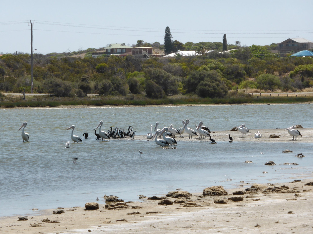 Greenough River-Greenough必去景点
