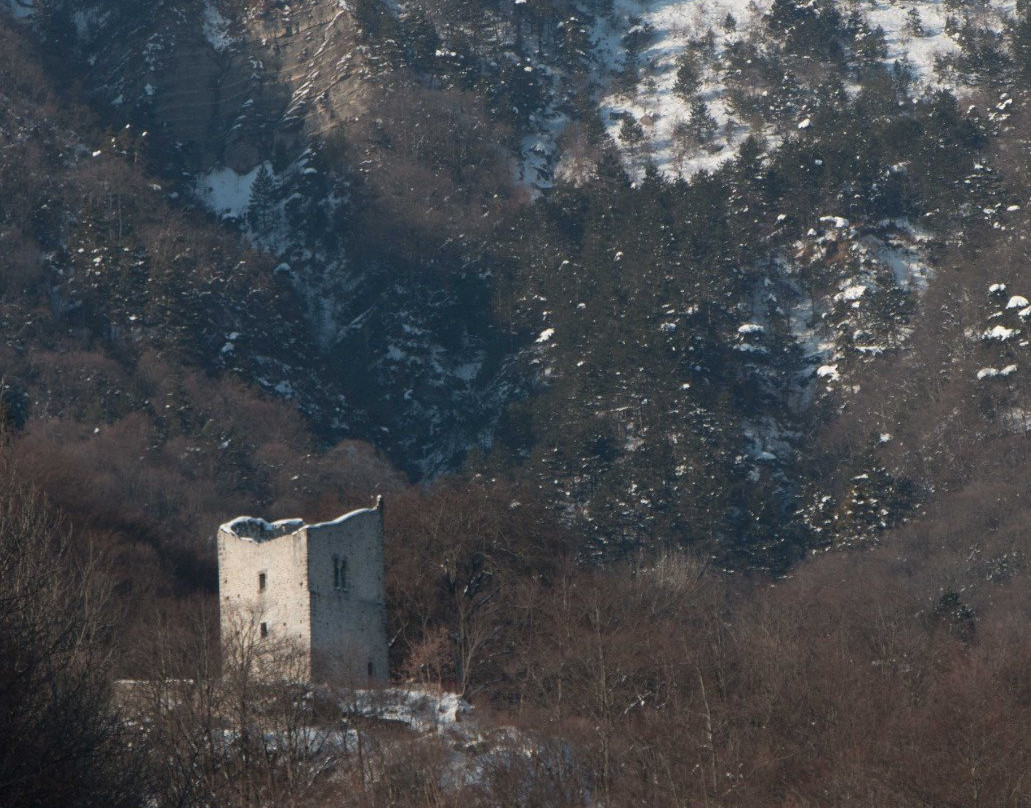 Tour d'Arces景点图片