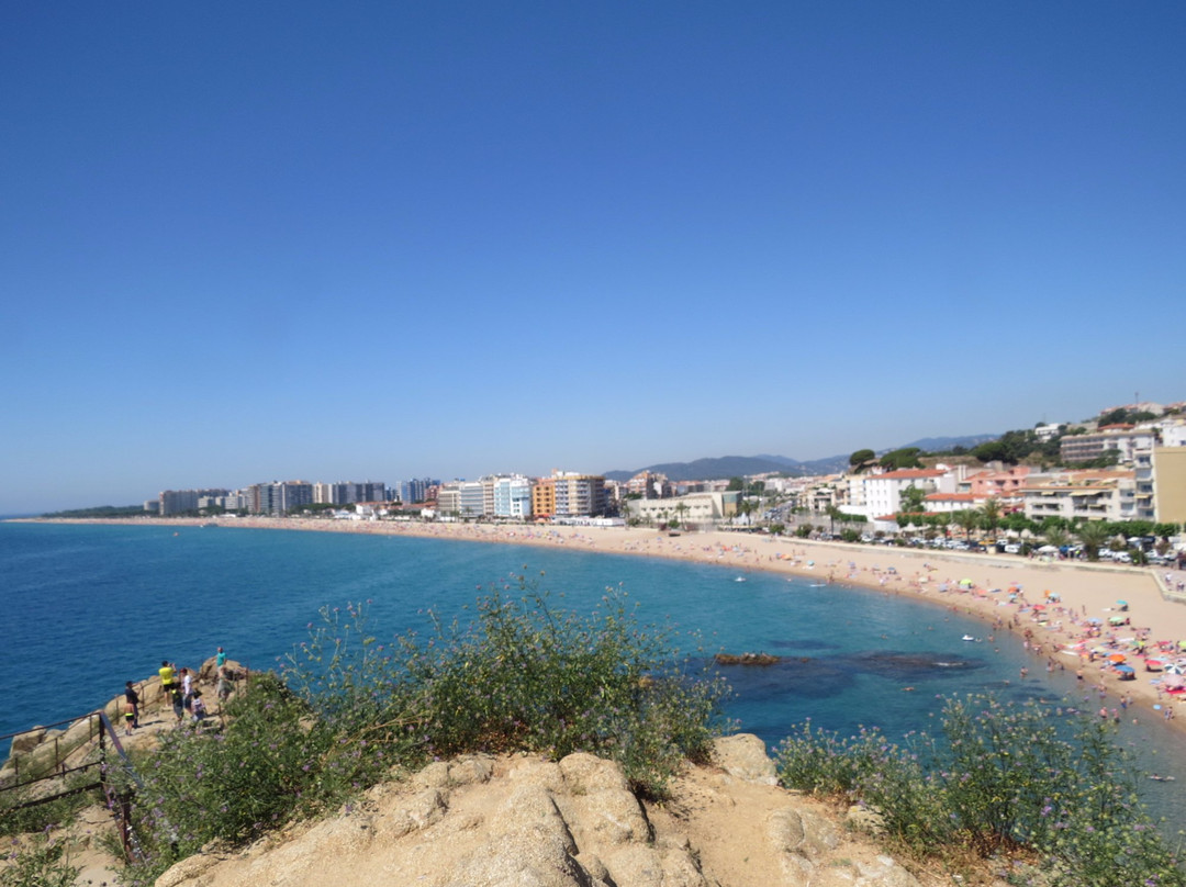 Playa de S'Abanell景点图片