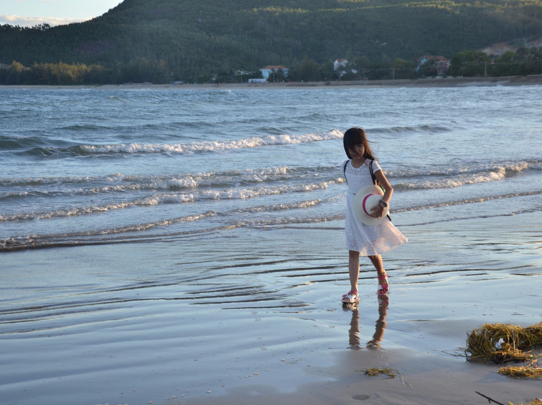 Sa Huynh Beach景点图片