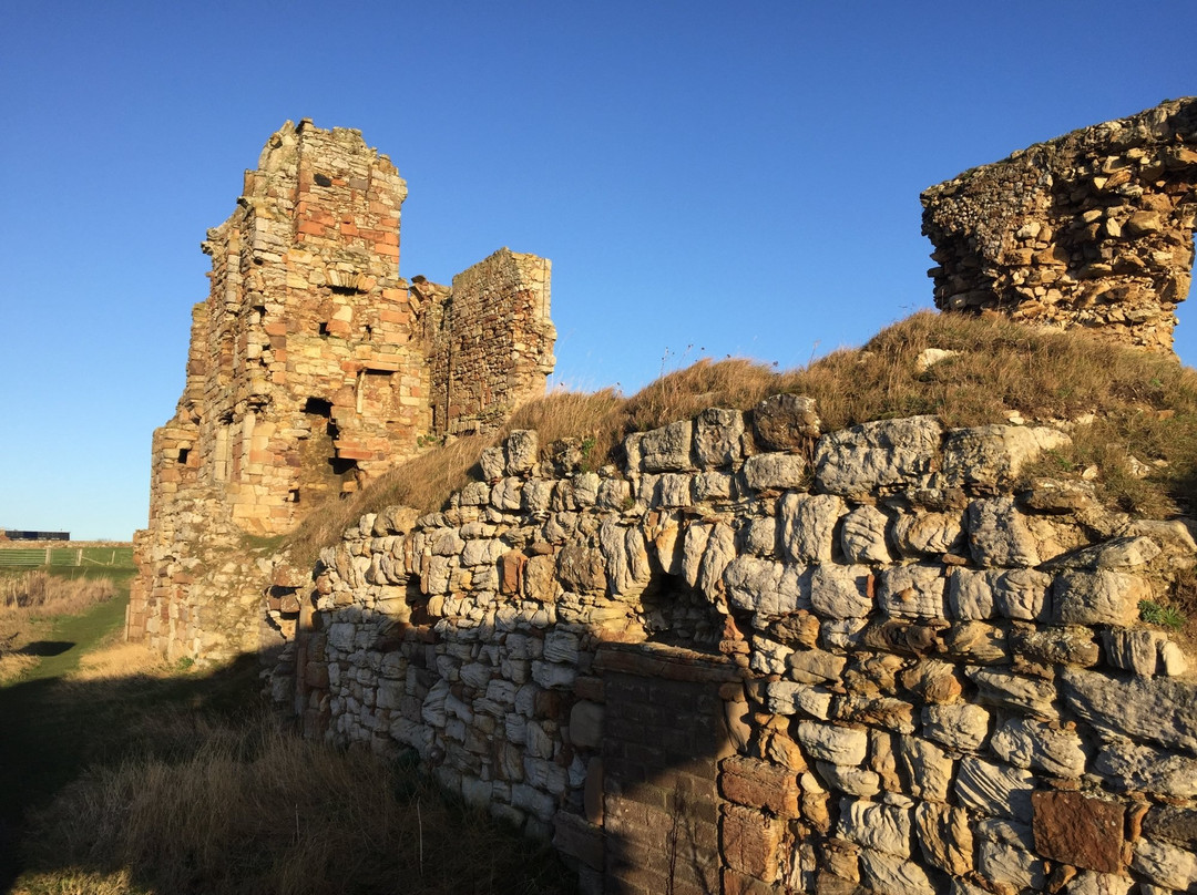 St Monans旅游景点-Newark Castle