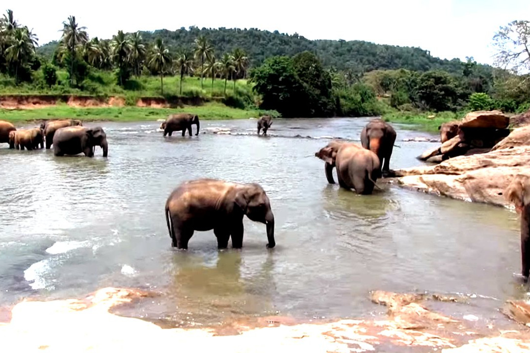 Seerendipity Tours and Travels - Day Tours-Panadura必去景点