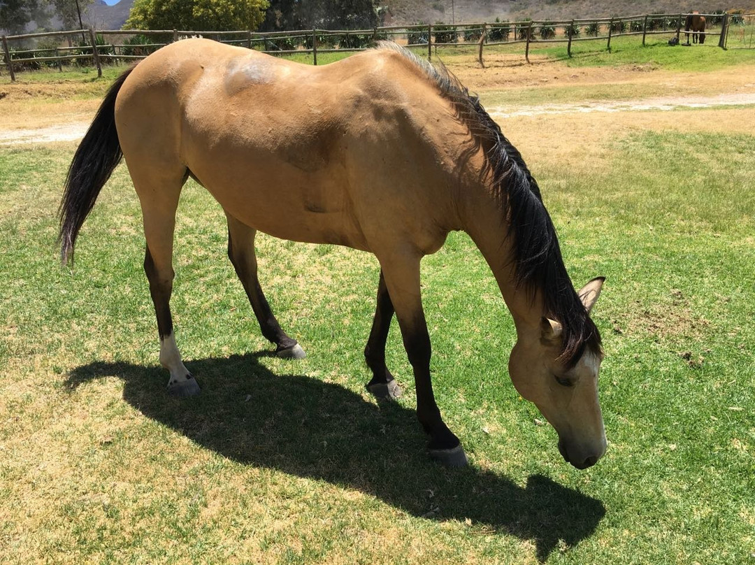 Nerina Guest Farm-Robertson必去景点