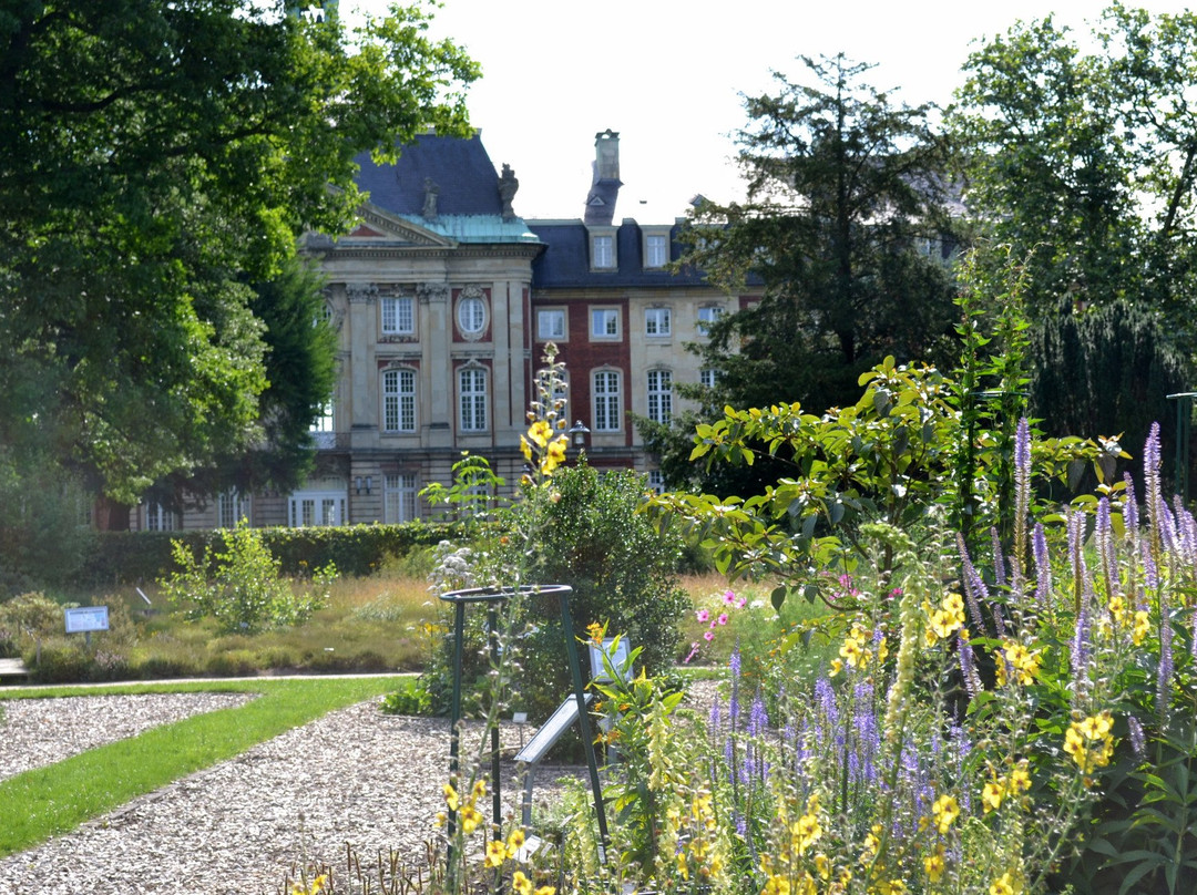 Botanical Garden Münster景点图片