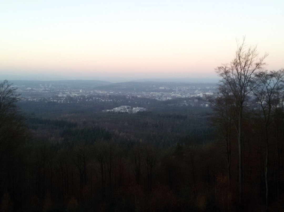 Humberg Tower景点图片
