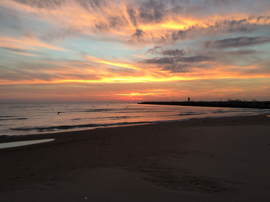 North Beach Park-拉辛必去景点
