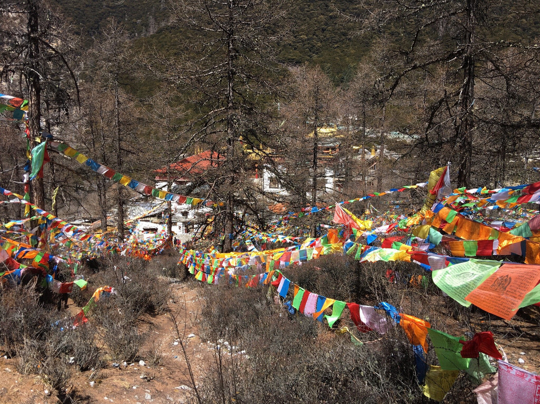 冲古寺景点图片