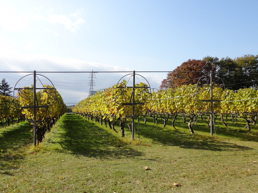 Manns Wine Komoro Winery-小诸市必去景点