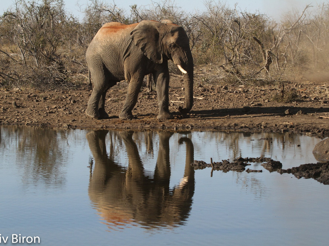 Zeerust旅游攻略图片