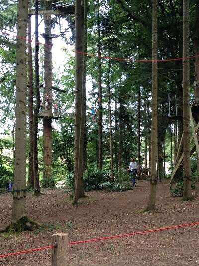 Forest Adventure景点图片