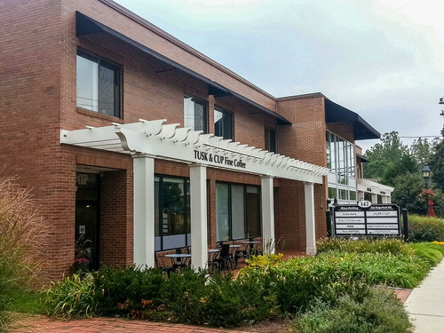 Tusk & Cup Fine Coffee