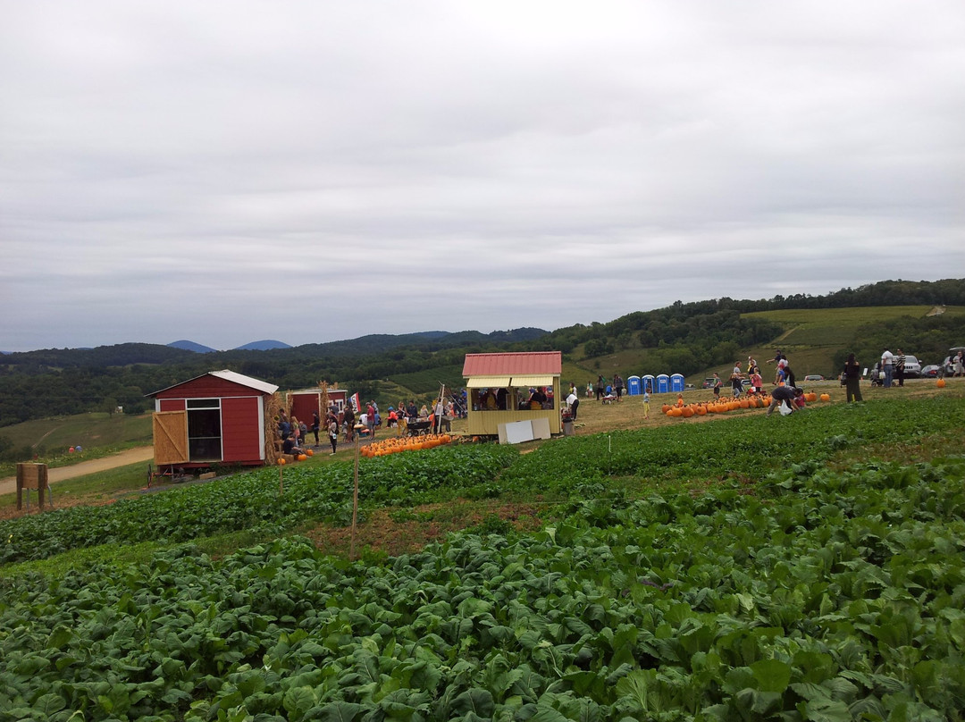 Hollin Farms景点图片