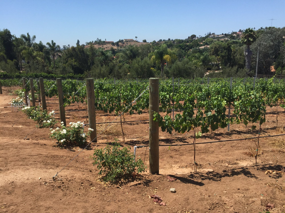 Hungry Hawk Vineyards & Winery景点图片
