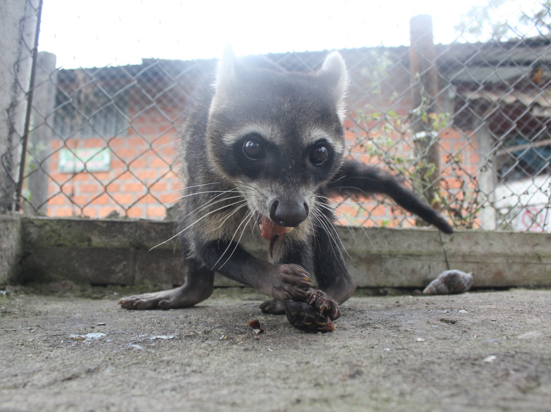 Zoorefugio Tarqui-Puyo必去景点