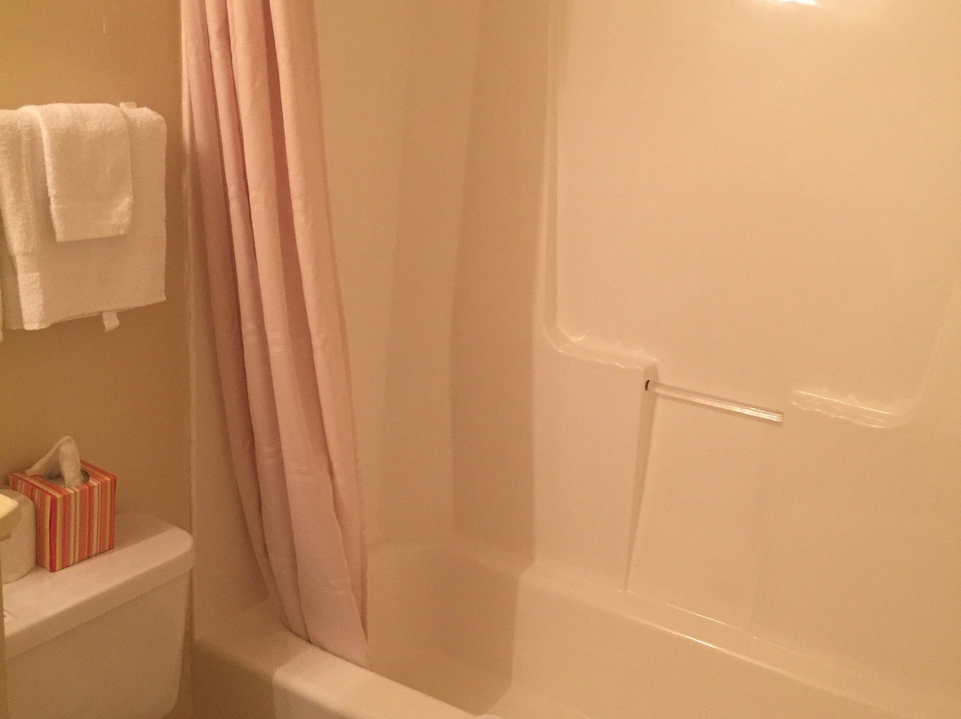 Chelsea Motor Inn主图