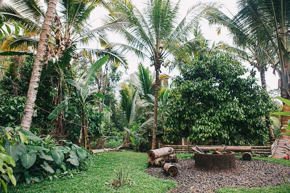 Bali Camping-Penebel必去景点