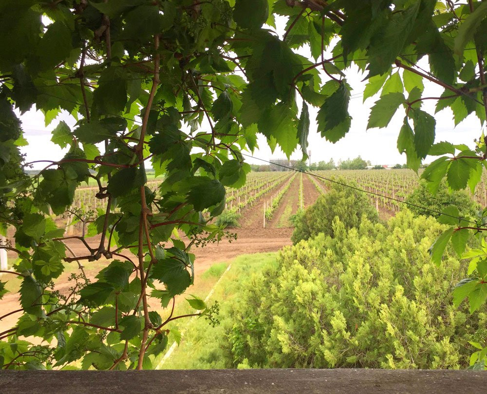 Grande Vallee-Velykodolynske必去景点