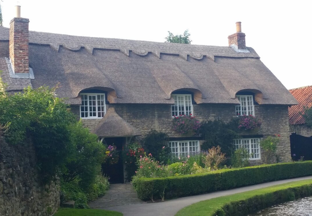 Thornton Dale Fisheries Ltd