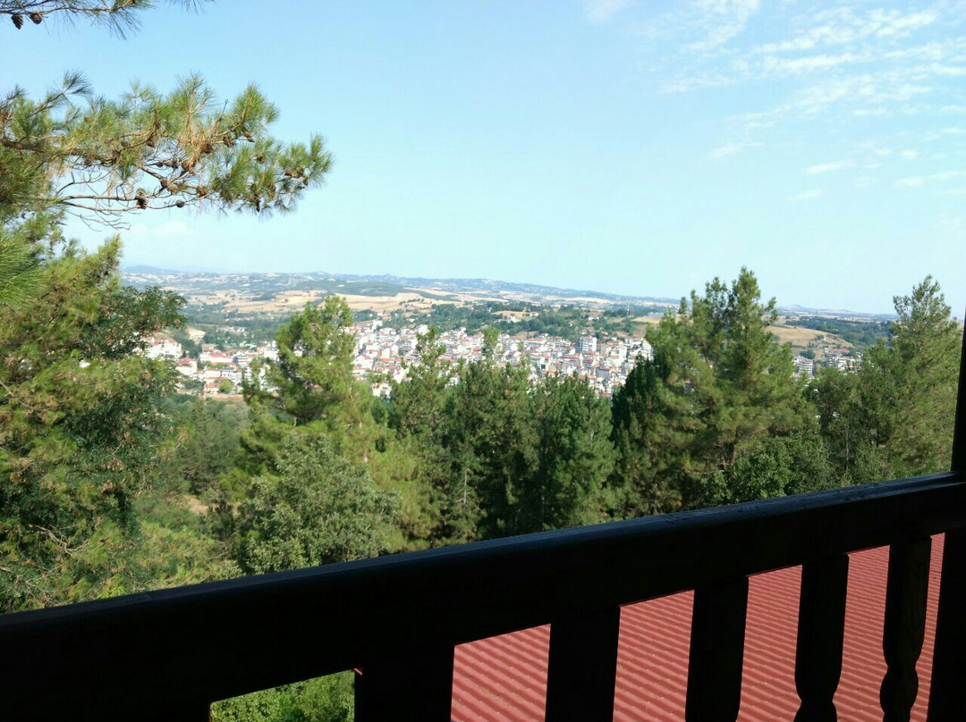 Milionis Forest Hotel主图