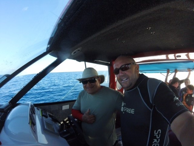 Whales in the Wild-Neiafu必去景点