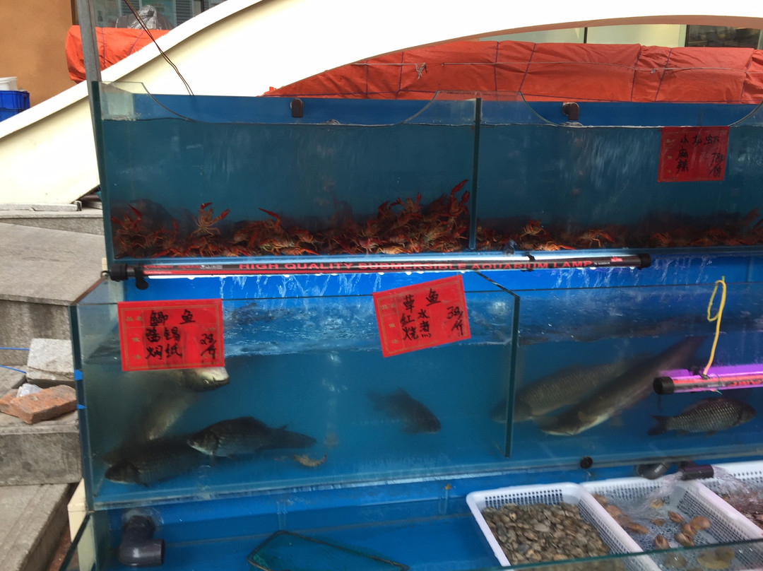 沈阳四塔-沈阳市必去景点