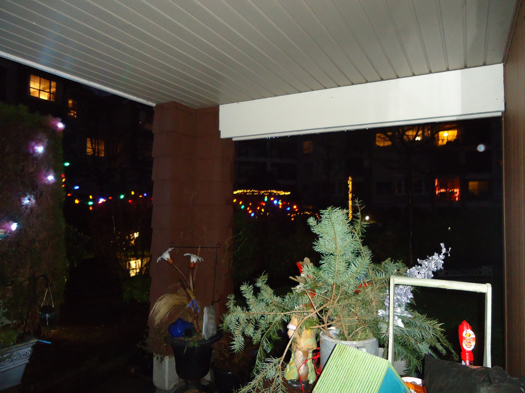 Meadow Gardens Golf Course-匹特草原必去景点