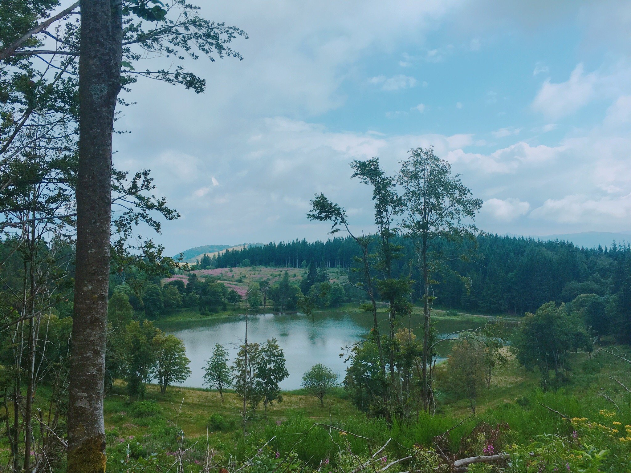 Domaine du Lac Ferrand-泳池
