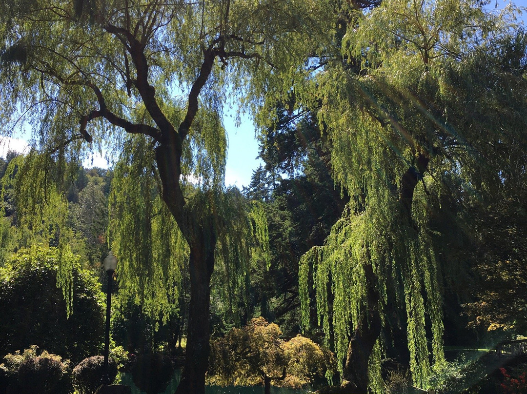 Lakeside Gardens-波特兰必去景点