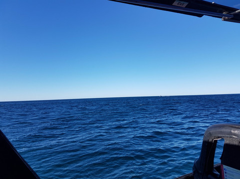 Ocean Jet-梅因海滩必去景点