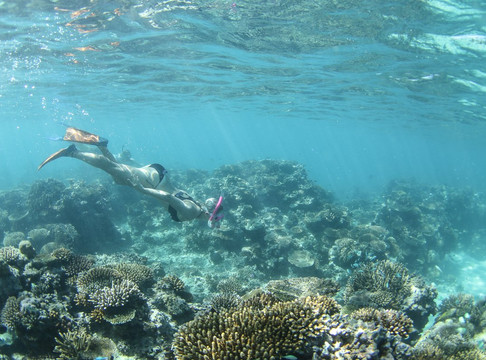 Jetboards Fiji-纳迪市必去景点