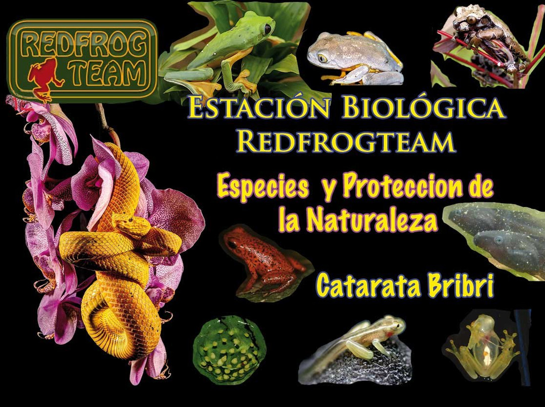 Redfrogteam Biological Station景点图片