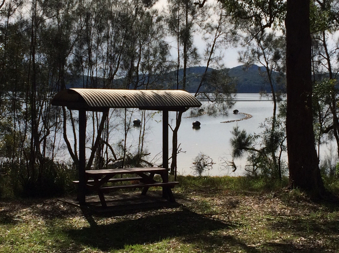 Queens Lake Walking Track-Laurieton必去景点