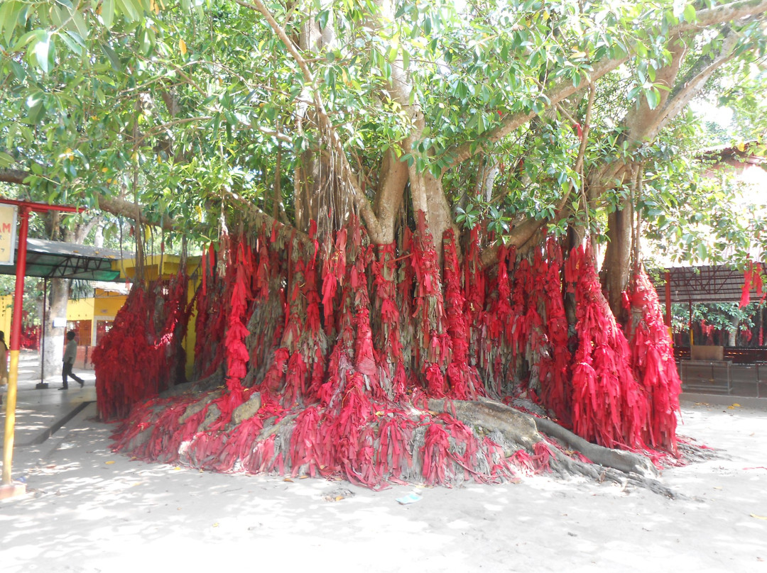 Deopani Durga Mandir-Diphu必去景点