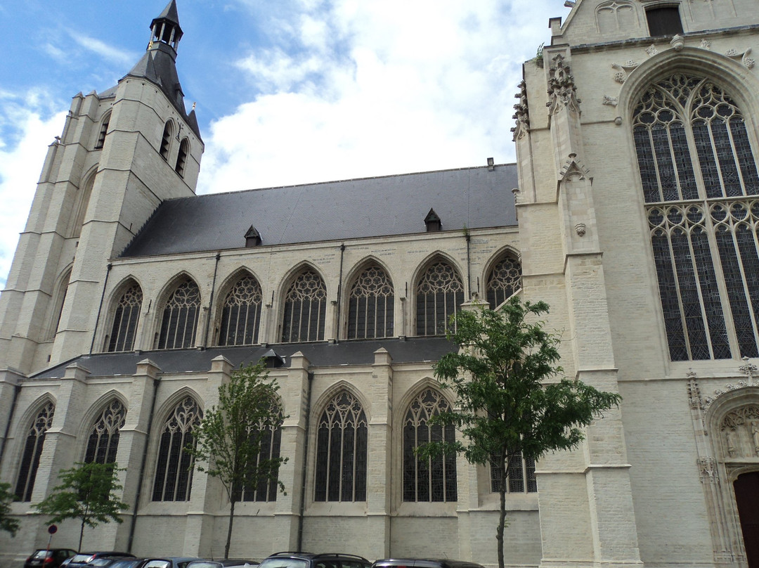 Onze-Lieve-Vrouw-over-de-Dijlekerk景点图片